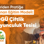 WhatsApp Image 2025-11-06 at 10.46.24