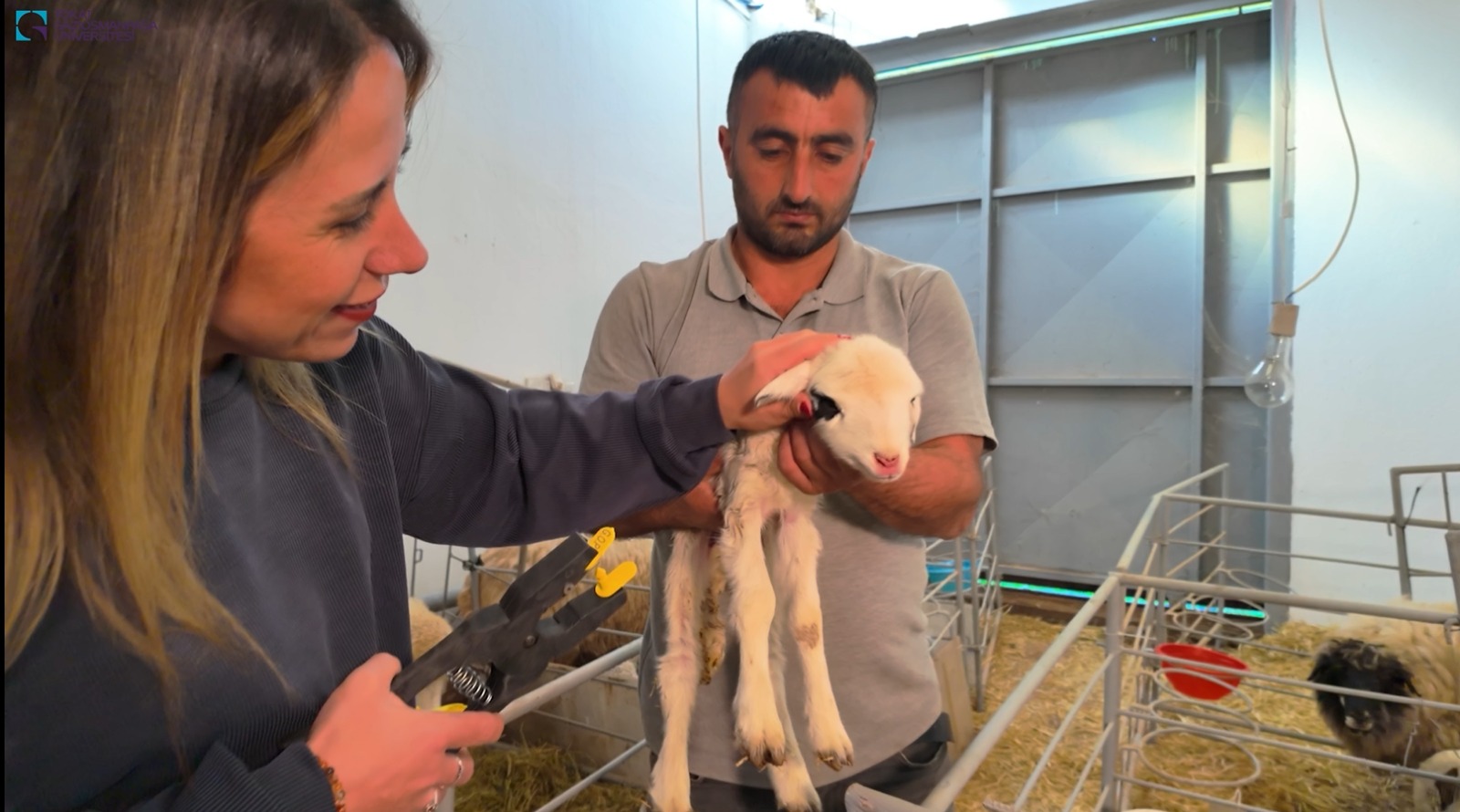 WhatsApp Image 2025-11-06 at 10.46.25