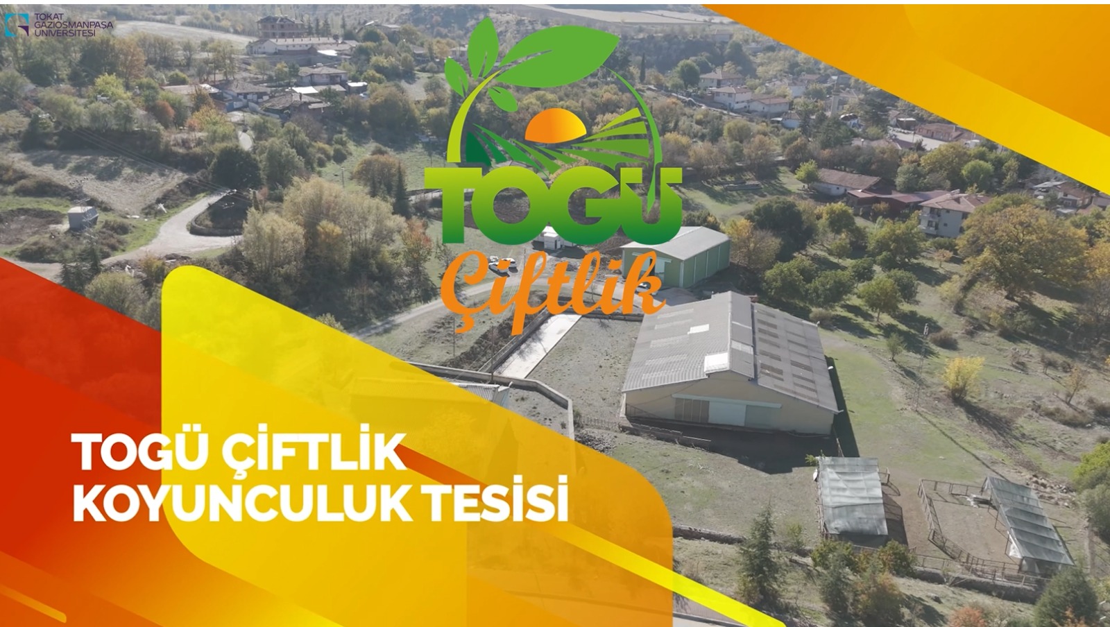 WhatsApp Image 2025-11-06 at 10.46.25(2)