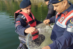 WhatsApp Image 2025-11-07 at 18.12.25(2)