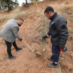 WhatsApp Image 2025-11-11 at 13.58.30