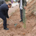 WhatsApp Image 2025-11-11 at 13.58.30(1)