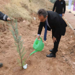 WhatsApp Image 2025-11-11 at 13.58.31(1)