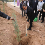 WhatsApp Image 2025-11-11 at 13.58.32