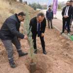 WhatsApp Image 2025-11-11 at 13.58.32(2)